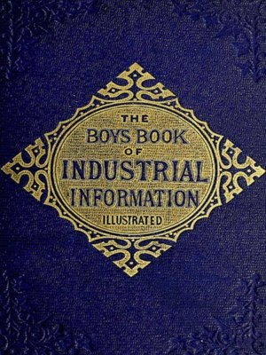 cover image of The Boy's Book of Industrial Information